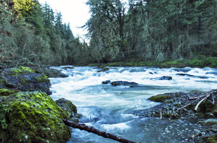 calapooia river graphic